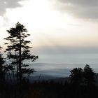 Blick vom Feldberg_2