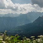 Blick vom Fellhorn