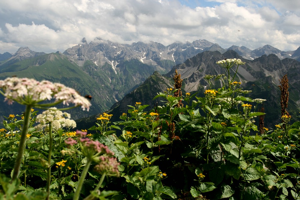 Blick vom Fellhorn