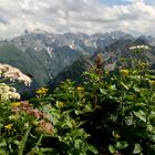 Blick vom Fellhorn