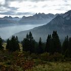 Blick vom Fellhorn