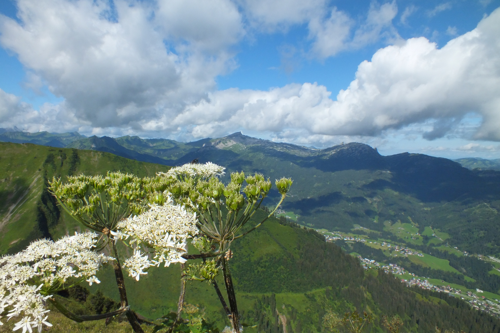 Blick vom Fellhorn ins Kleinwalsertal