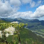 Blick vom Fellhorn ins Kleinwalsertal