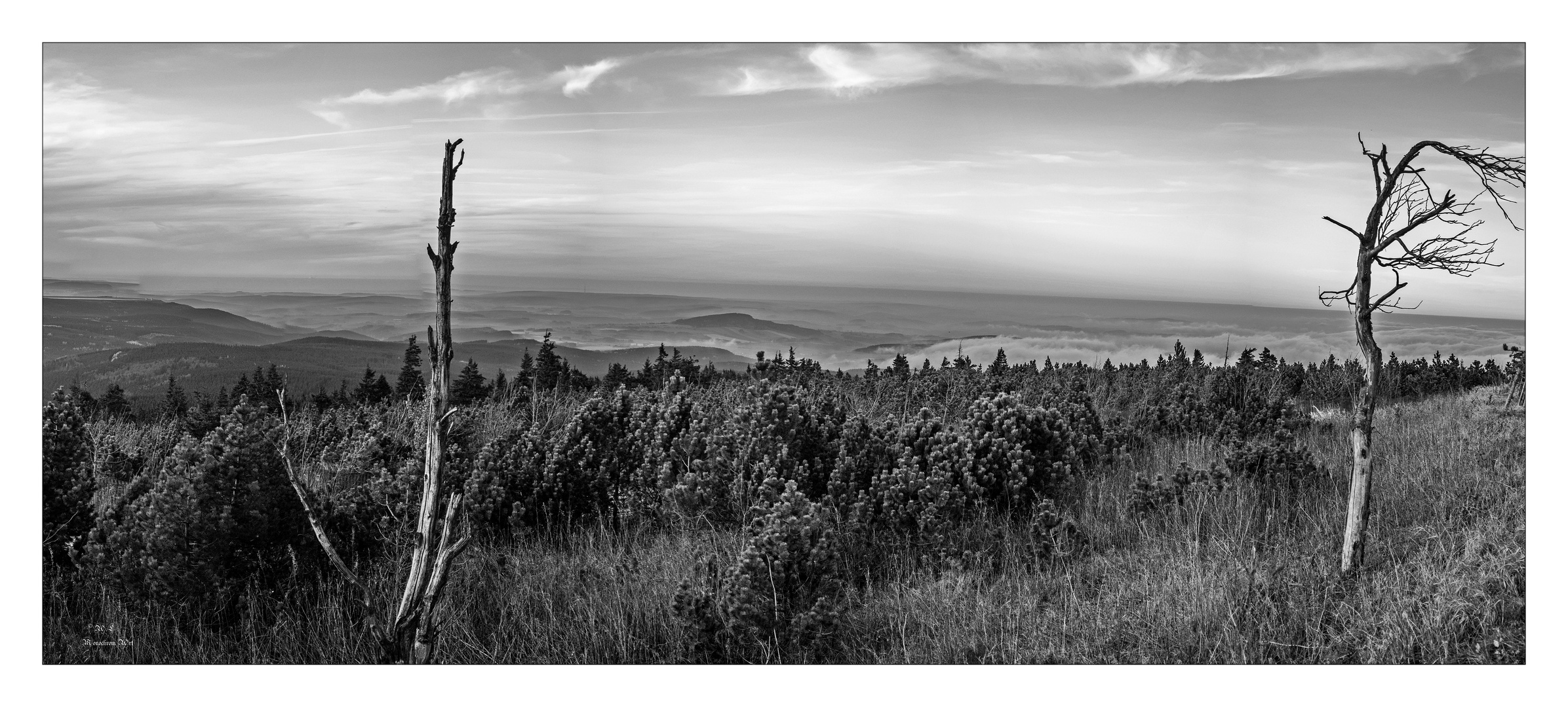 Blick vom Fichtelberg