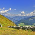 Blick vom Filzenkogel