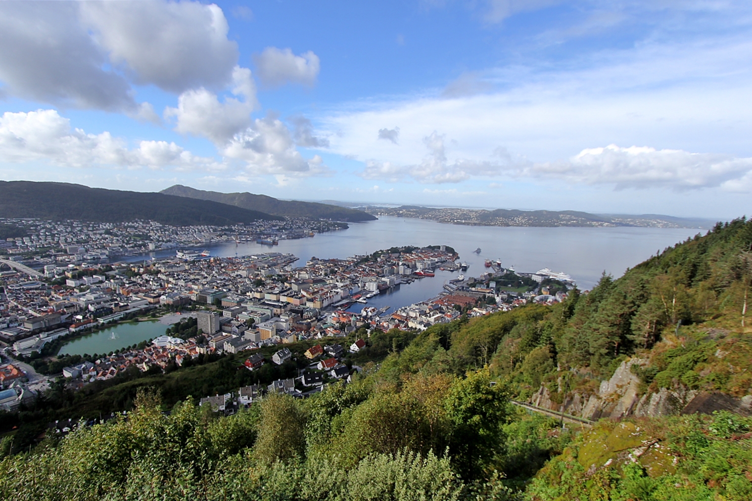 Blick vom Fløyen