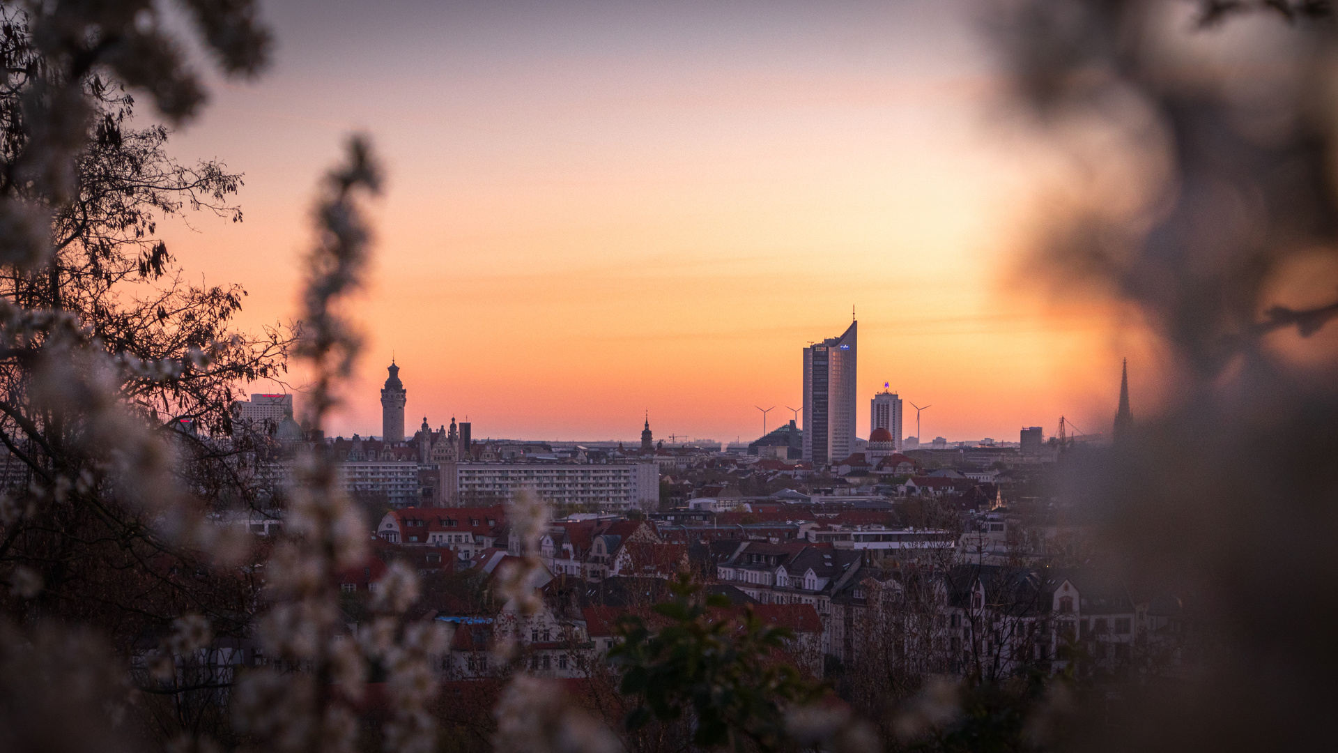 Blick vom Fockeberg