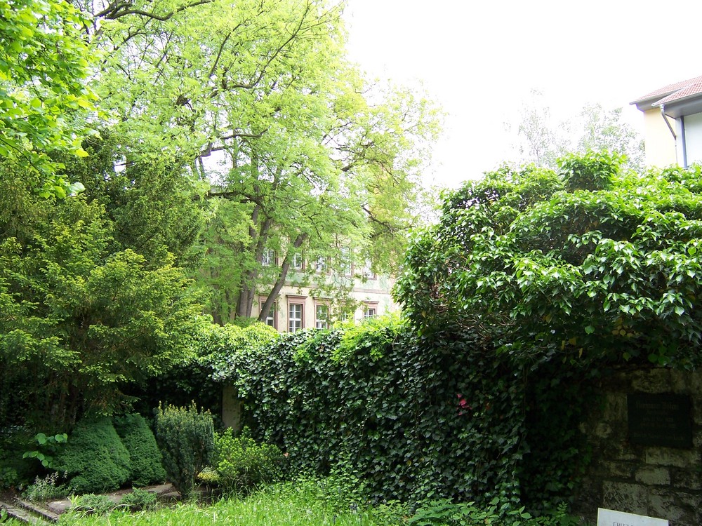 Blick vom Friedhof auf gegenüber