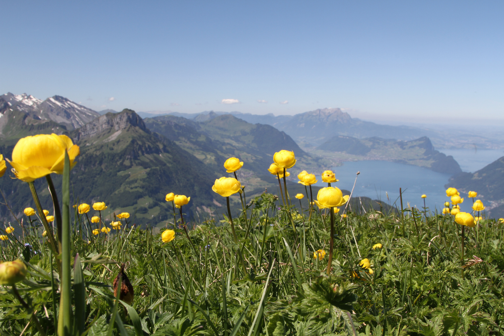 Blick vom Fronalpstock