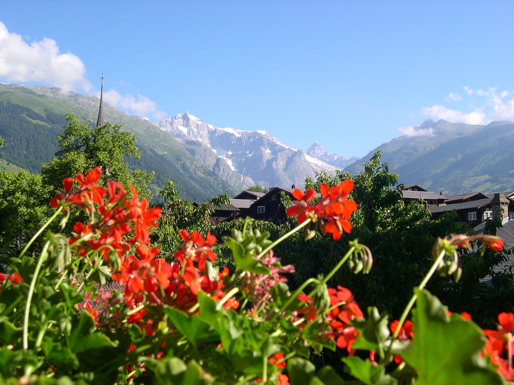 Blick vom Frühstückstisch aus