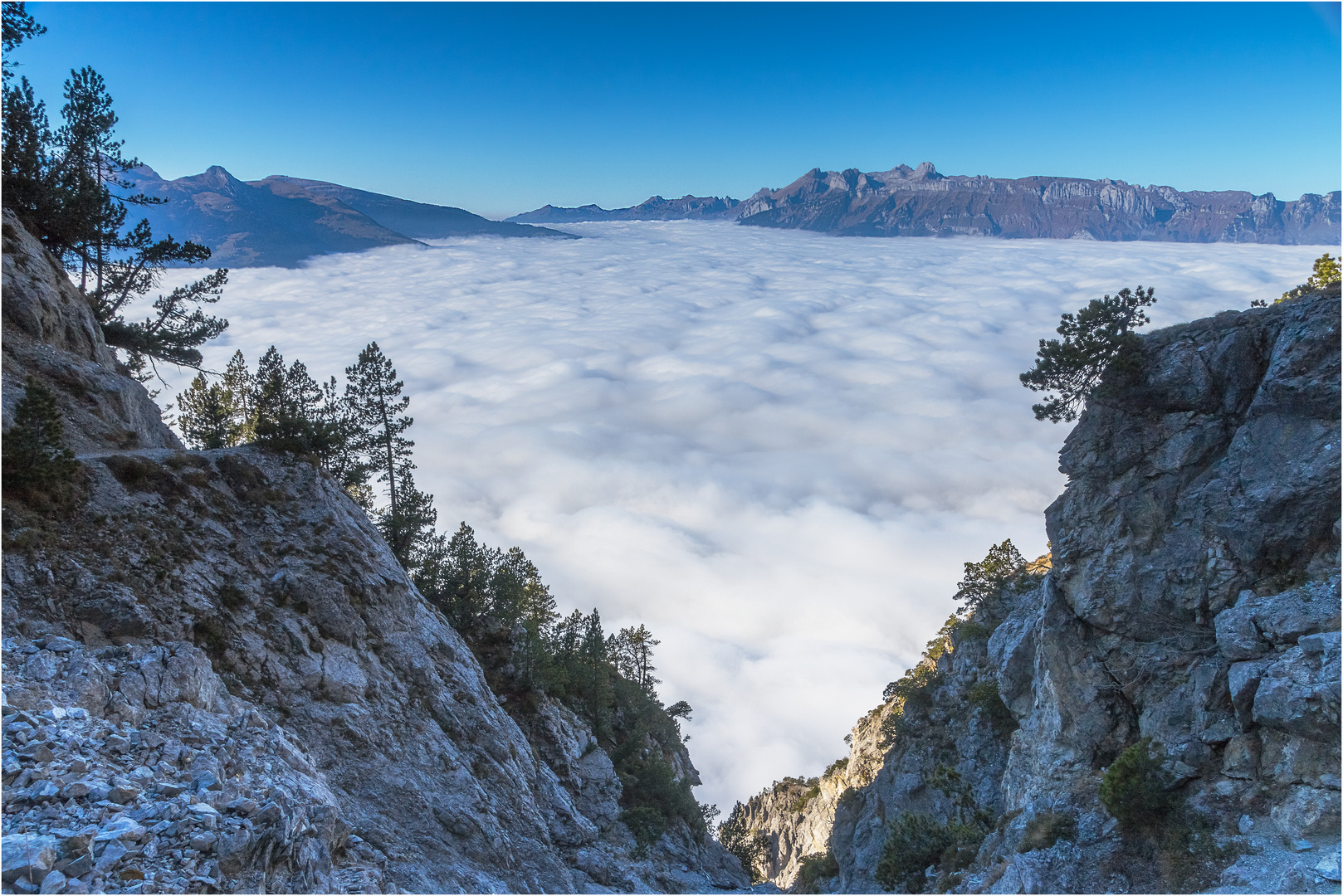 Blick vom Fürstensteig