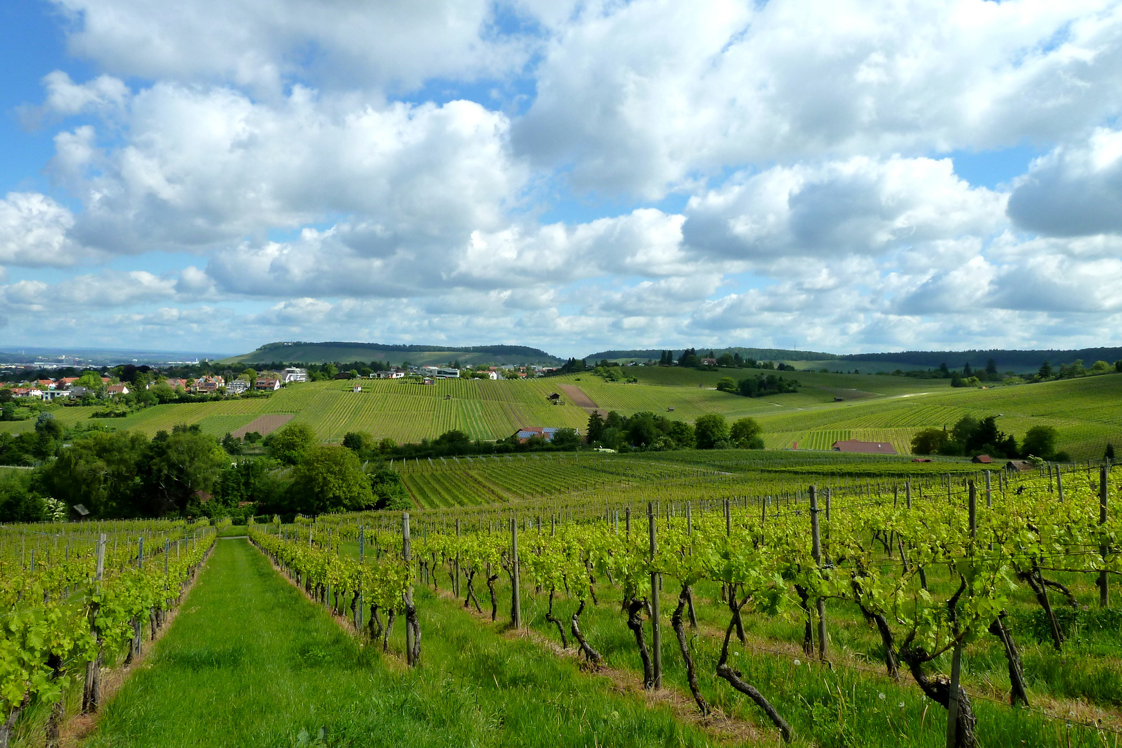 Blick vom Gaffenberg