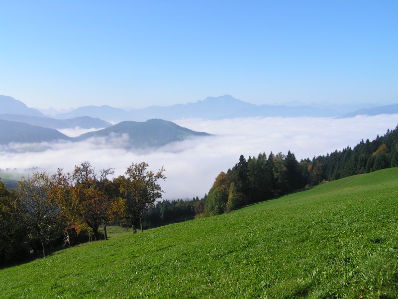 Blick vom Gahberg auf den Attersee