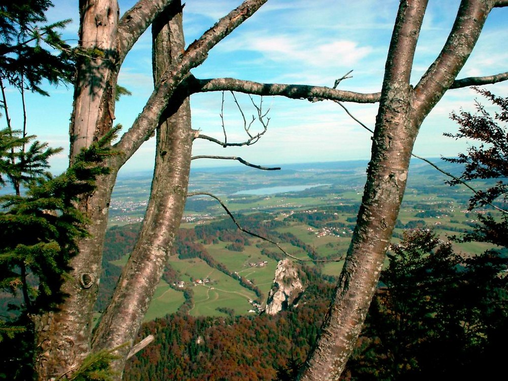 "Blick vom Gaisberg"