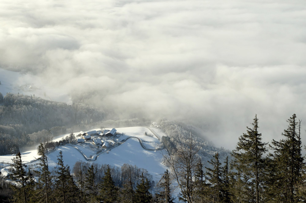 Blick vom Gaisberg(salzburg)