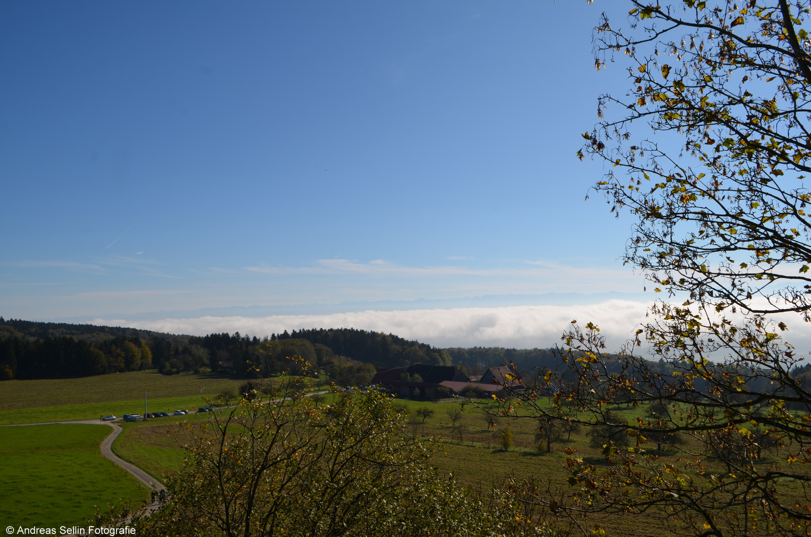 Blick vom Gehrenberg (Markdorf) auf die Wolkendecke vor den Alpen