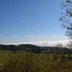 Blick vom Gehrenberg (Markdorf) auf die Wolkendecke vor den Alpen