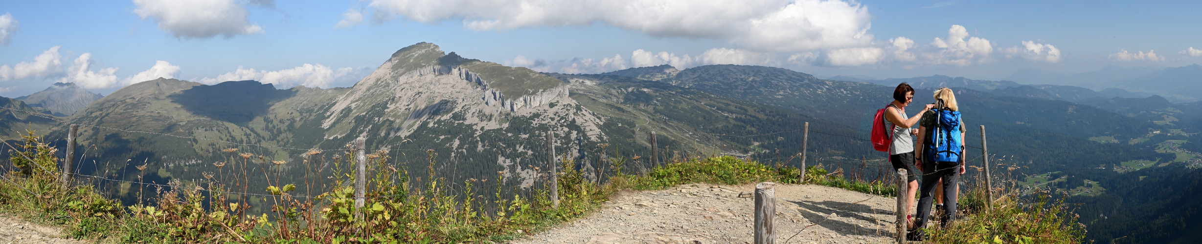 Blick vom Gipfel des Walmendinger Horn