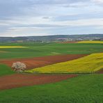 Blick vom Glauberg 01