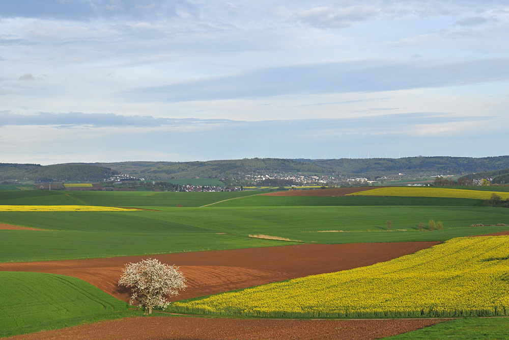 Blick vom Glauberg 02