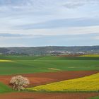 Blick vom Glauberg 02