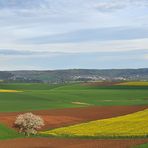 Blick vom Glauberg 02