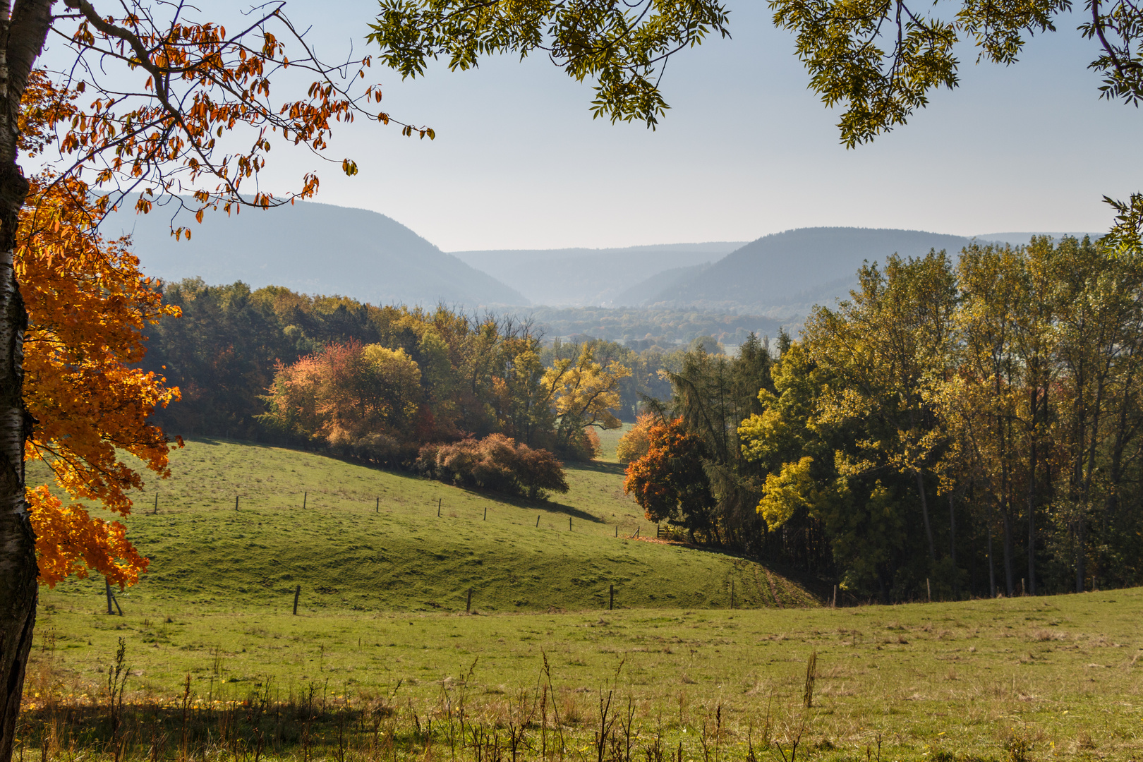 Blick vom Goldberg Richtung Thüringer Wald