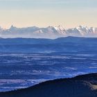 Blick vom Grand Ballon in den Vogesen auf die Berner Alpen