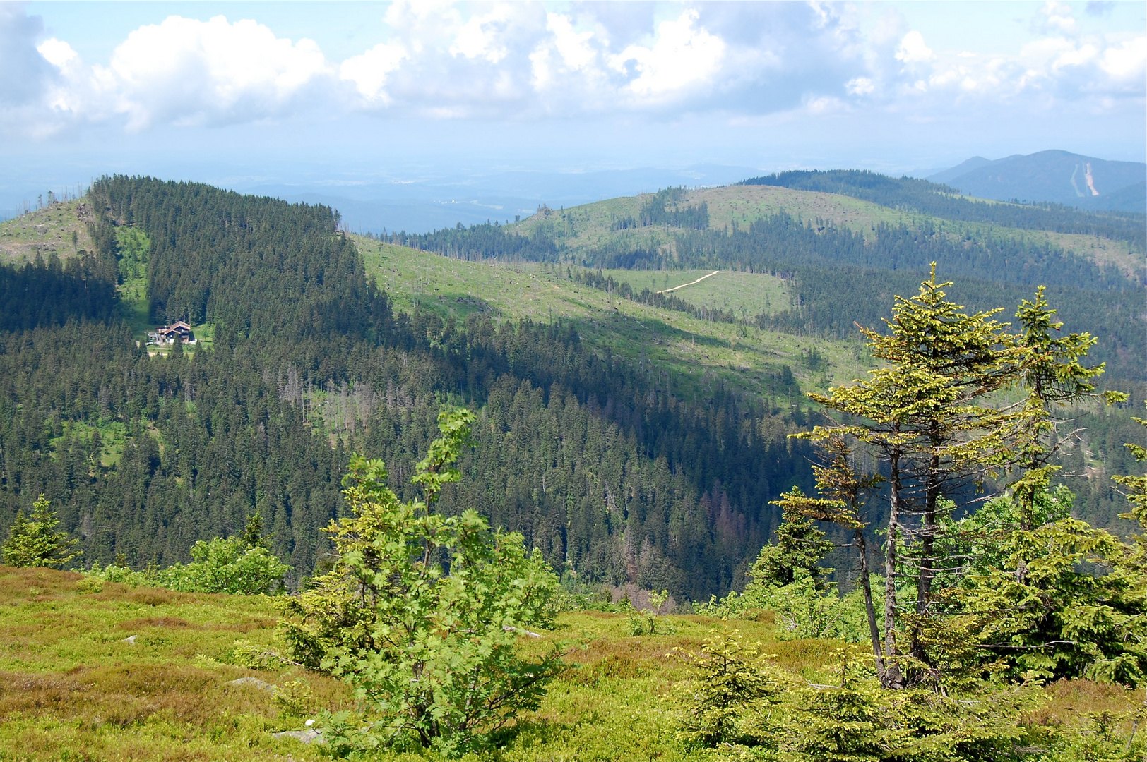 Blick vom Großen Arber…