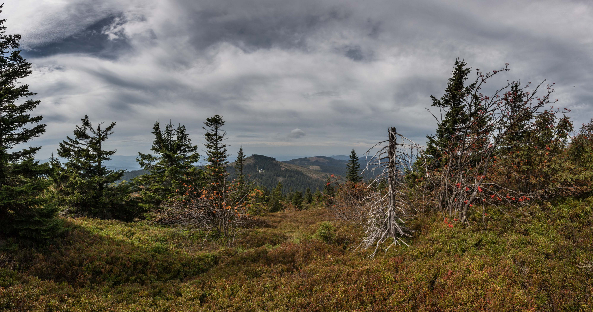 Blick vom Großen Arber zur Chamer Hütte unter dem Kleinen Arber