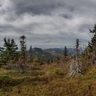 Blick vom Großen Arber zur Chamer Hütte unter dem Kleinen Arber