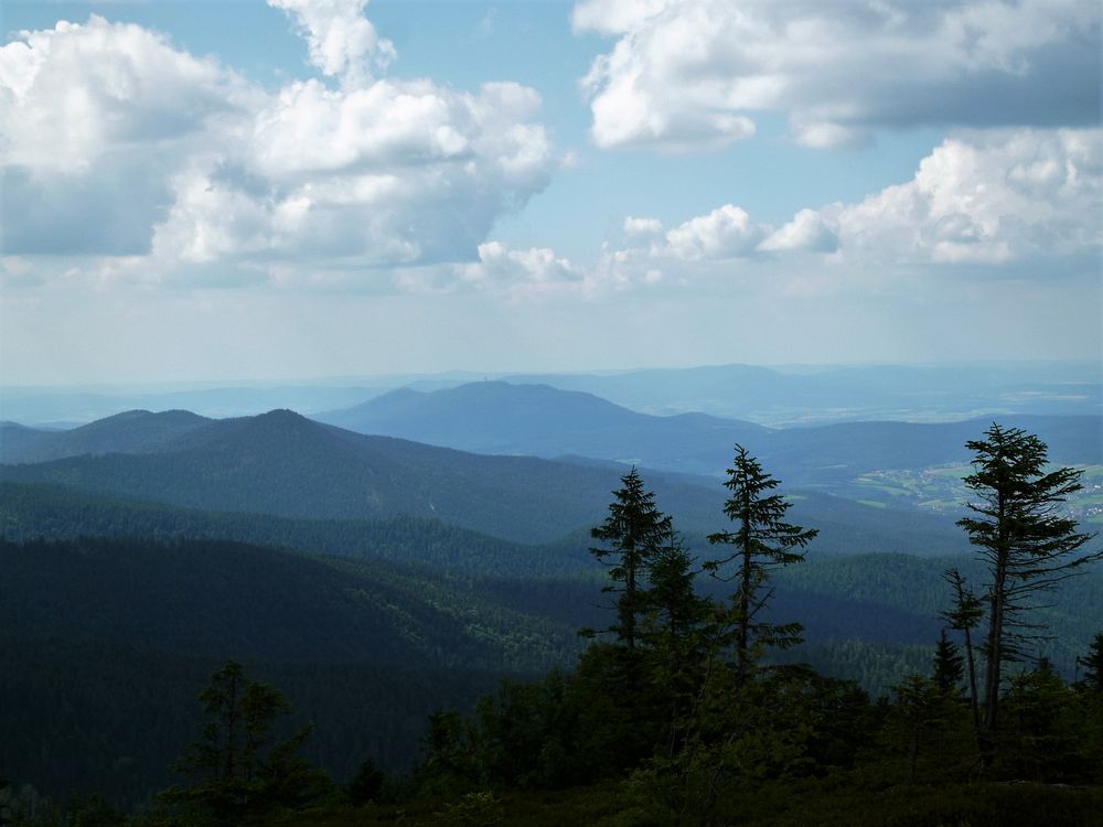 Blick vom Großen Arber/Bayr. Wald