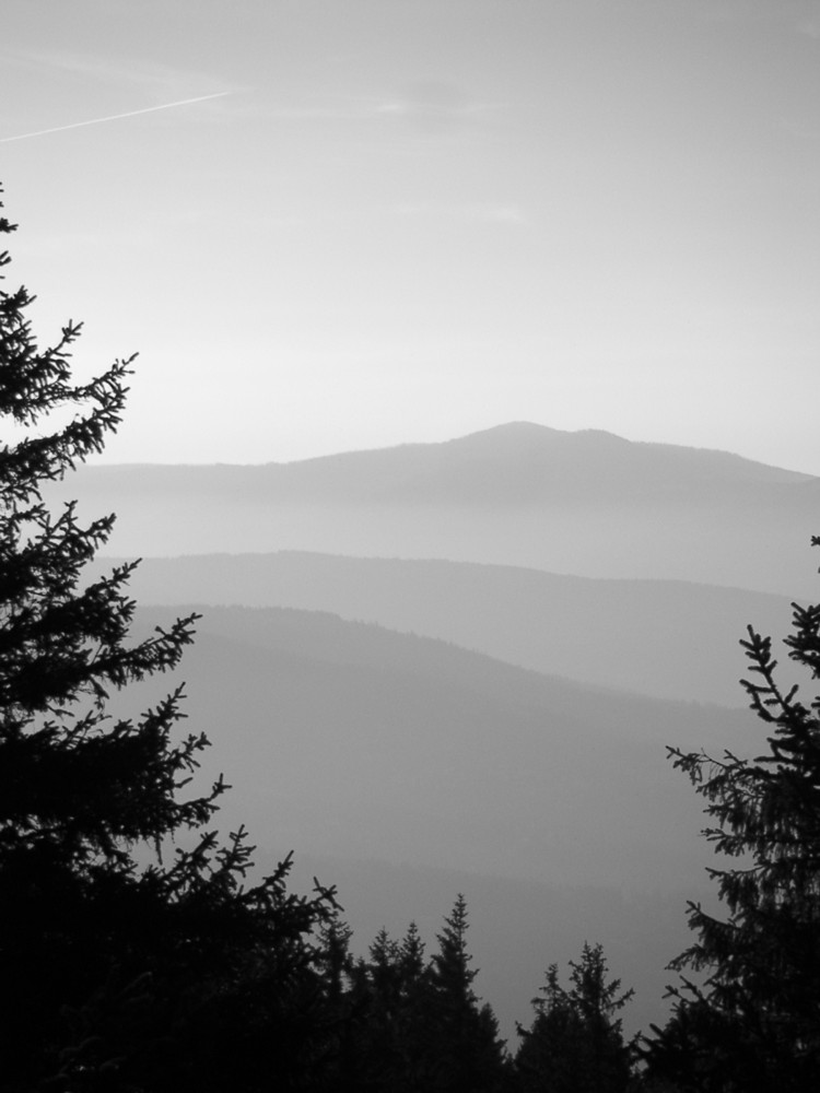 Blick vom großen Falkenstein