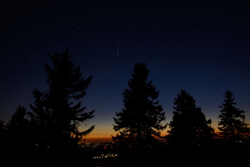 Blick vom Großen Feldberg