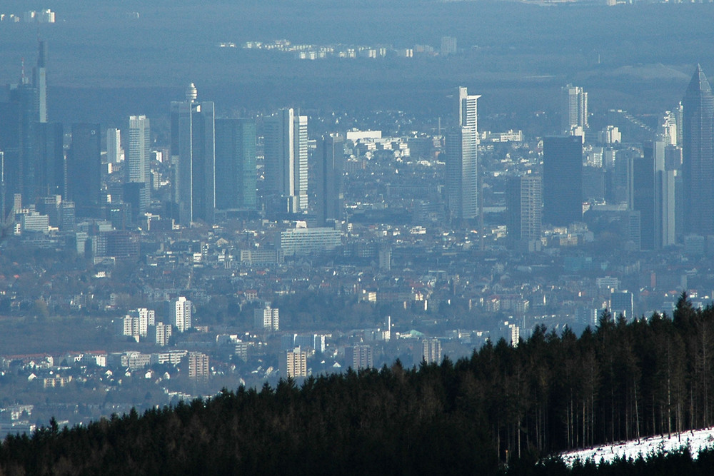 Blick vom Großen Feldberg