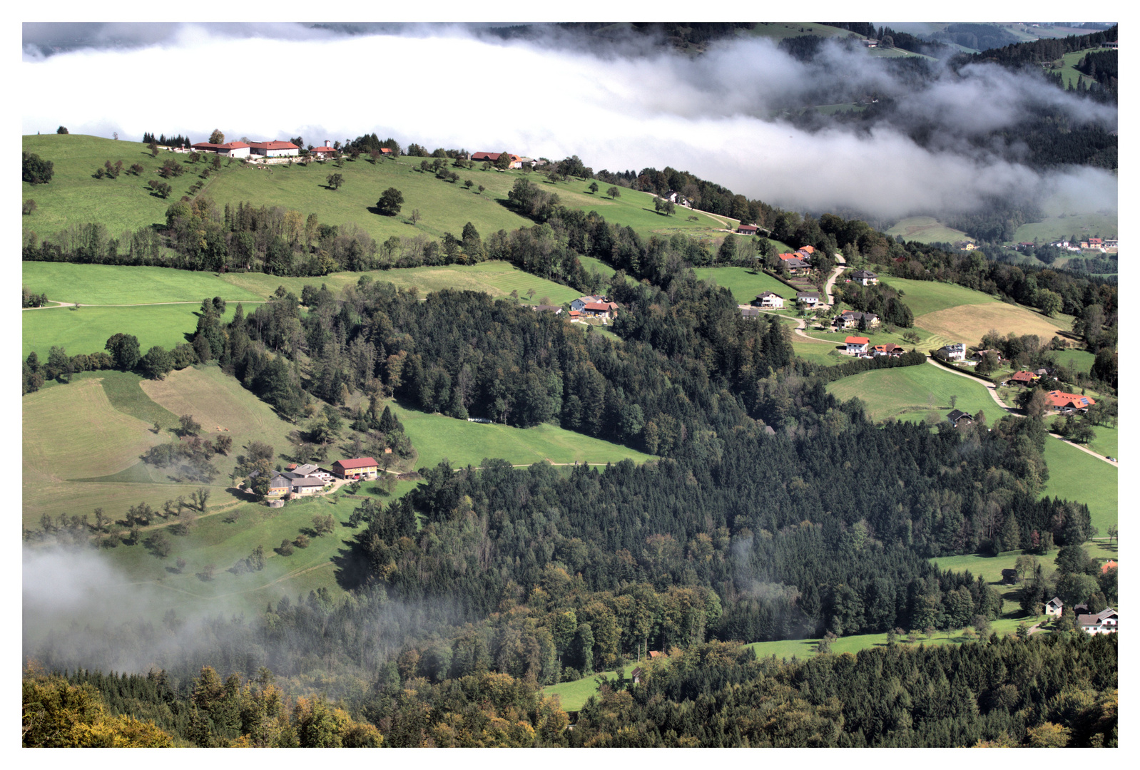 Blick vom Grünberg