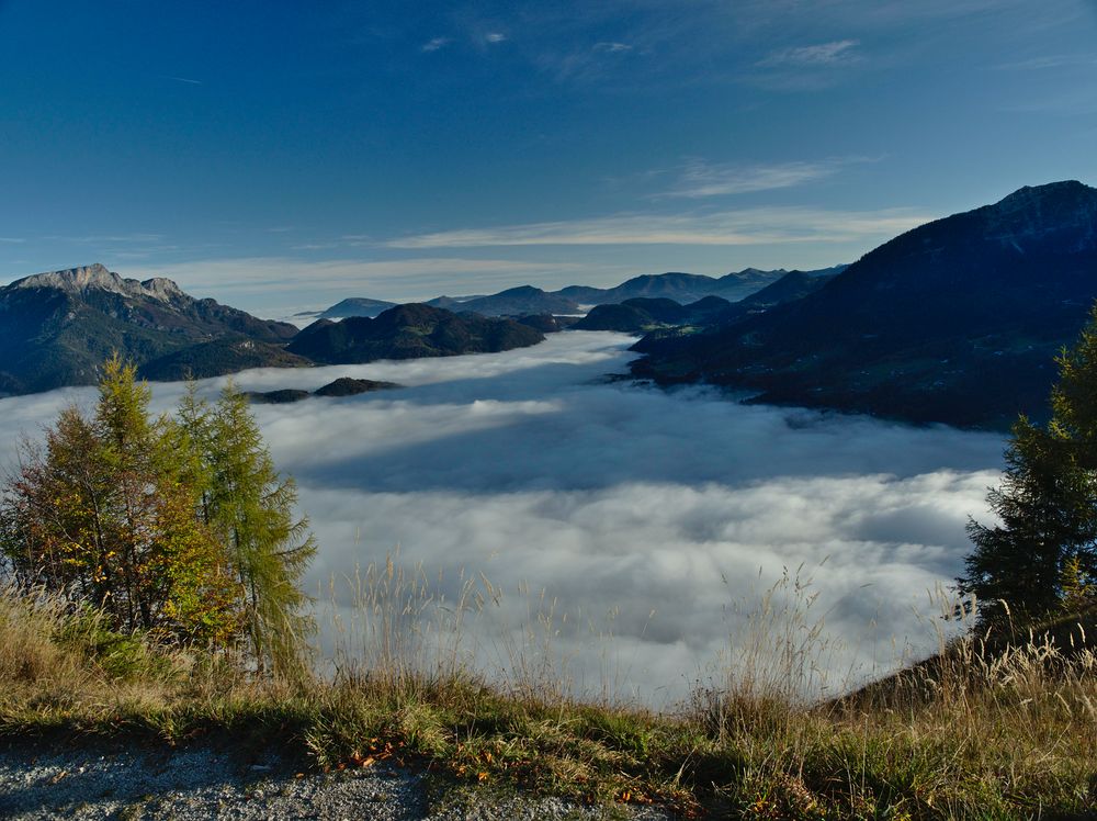 Blick vom Grünstein