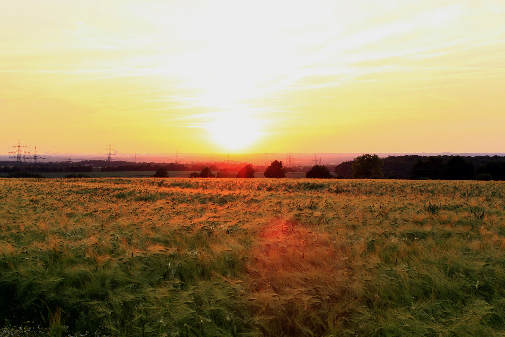 Blick vom Haarstrang