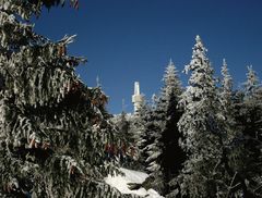 Blick vom Haberstein