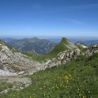 Blick vom Hahnenkopf Richtung Nagelfluhkette