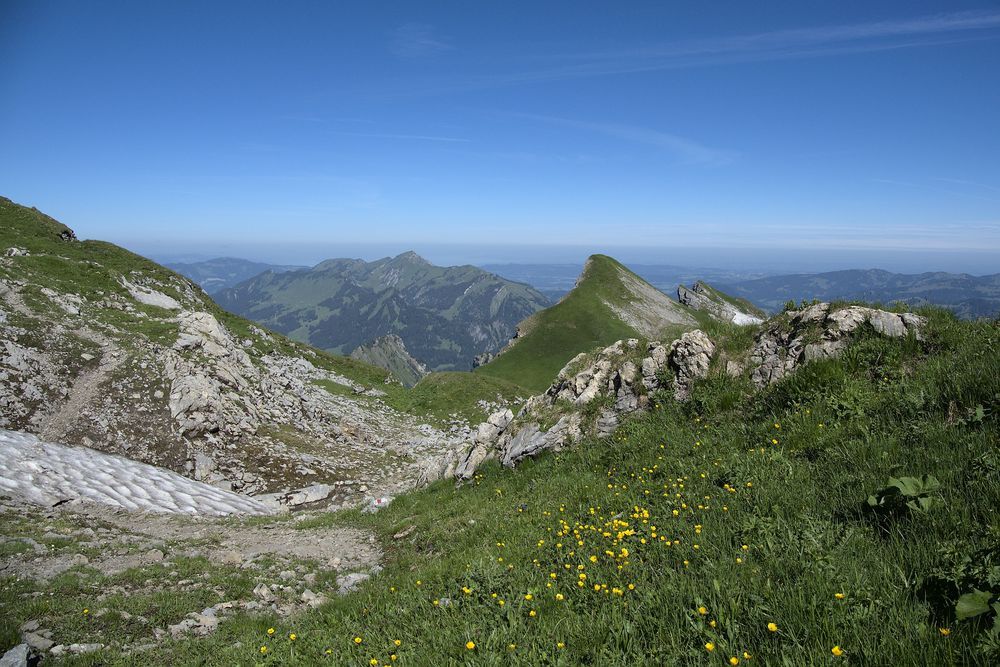 Blick vom Hahnenkopf Richtung Nagelfluhkette