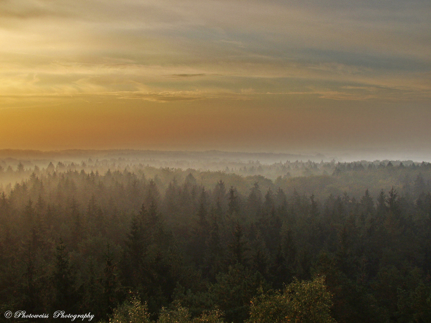 Blick vom Hahnheiderturm