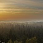 Blick vom Hahnheiderturm