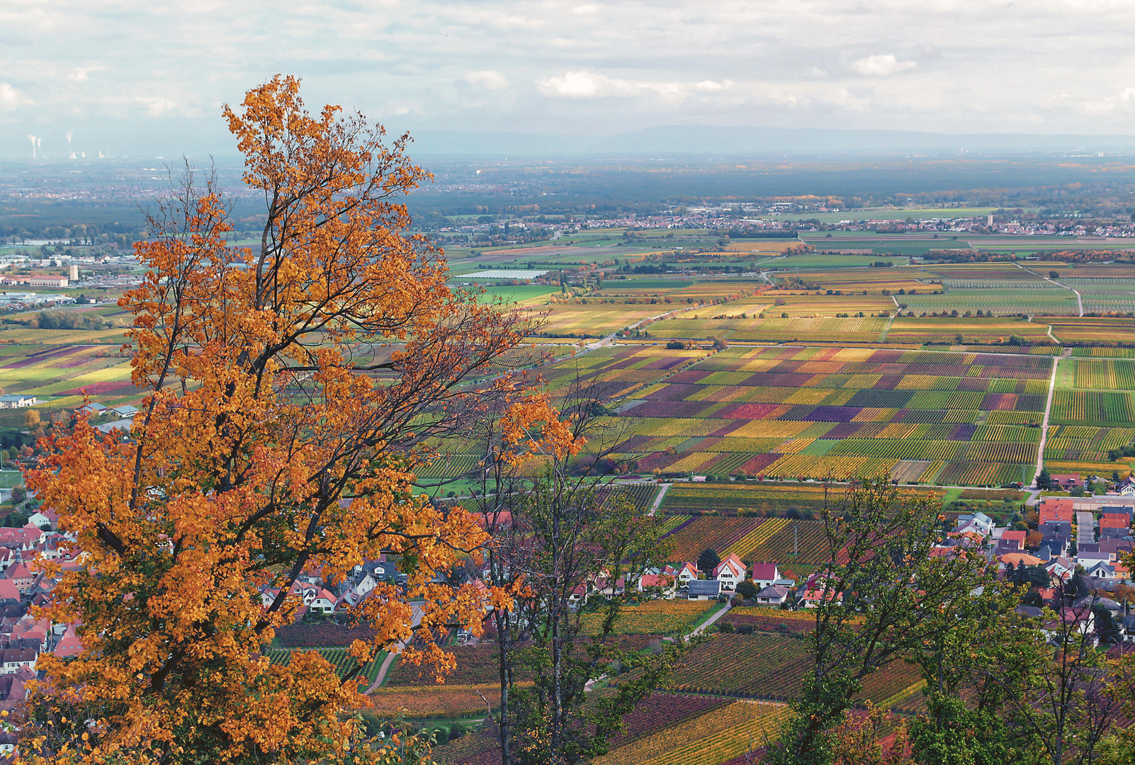 Blick vom Hambacher Schloss