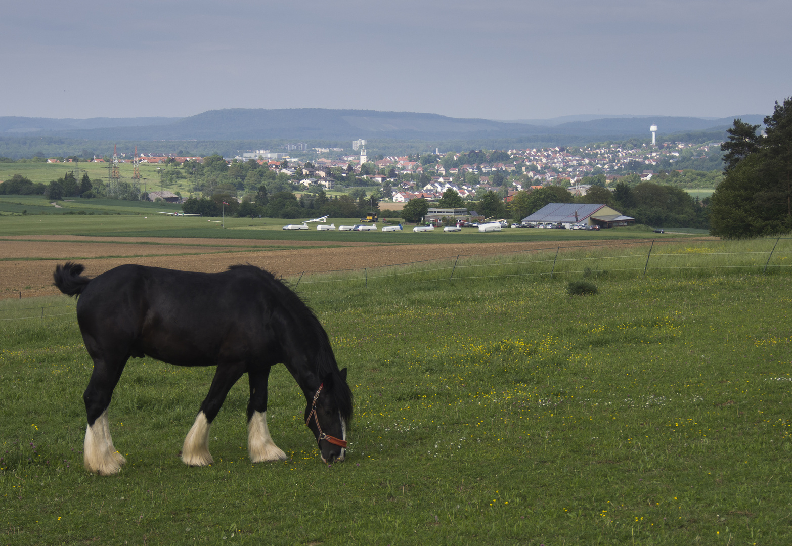 Blick vom Hangsteiner Hof