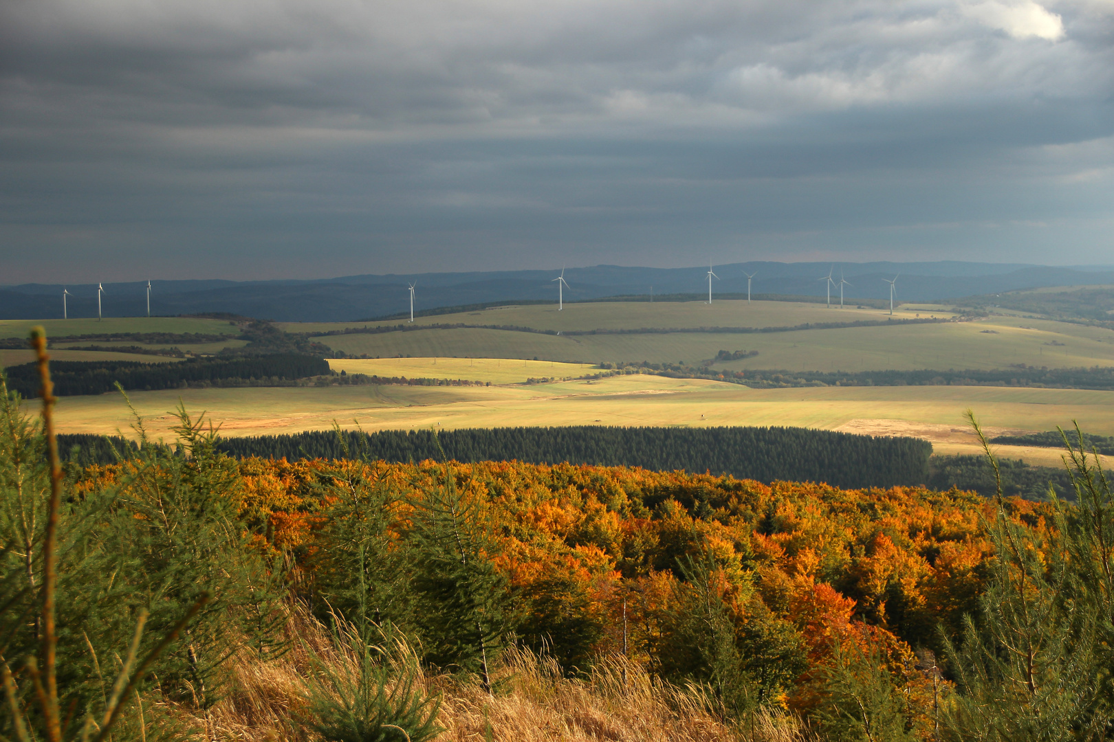 Blick vom Hassberg zur Pressnitztalsperre