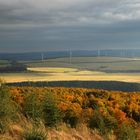 Blick vom Hassberg zur Pressnitztalsperre