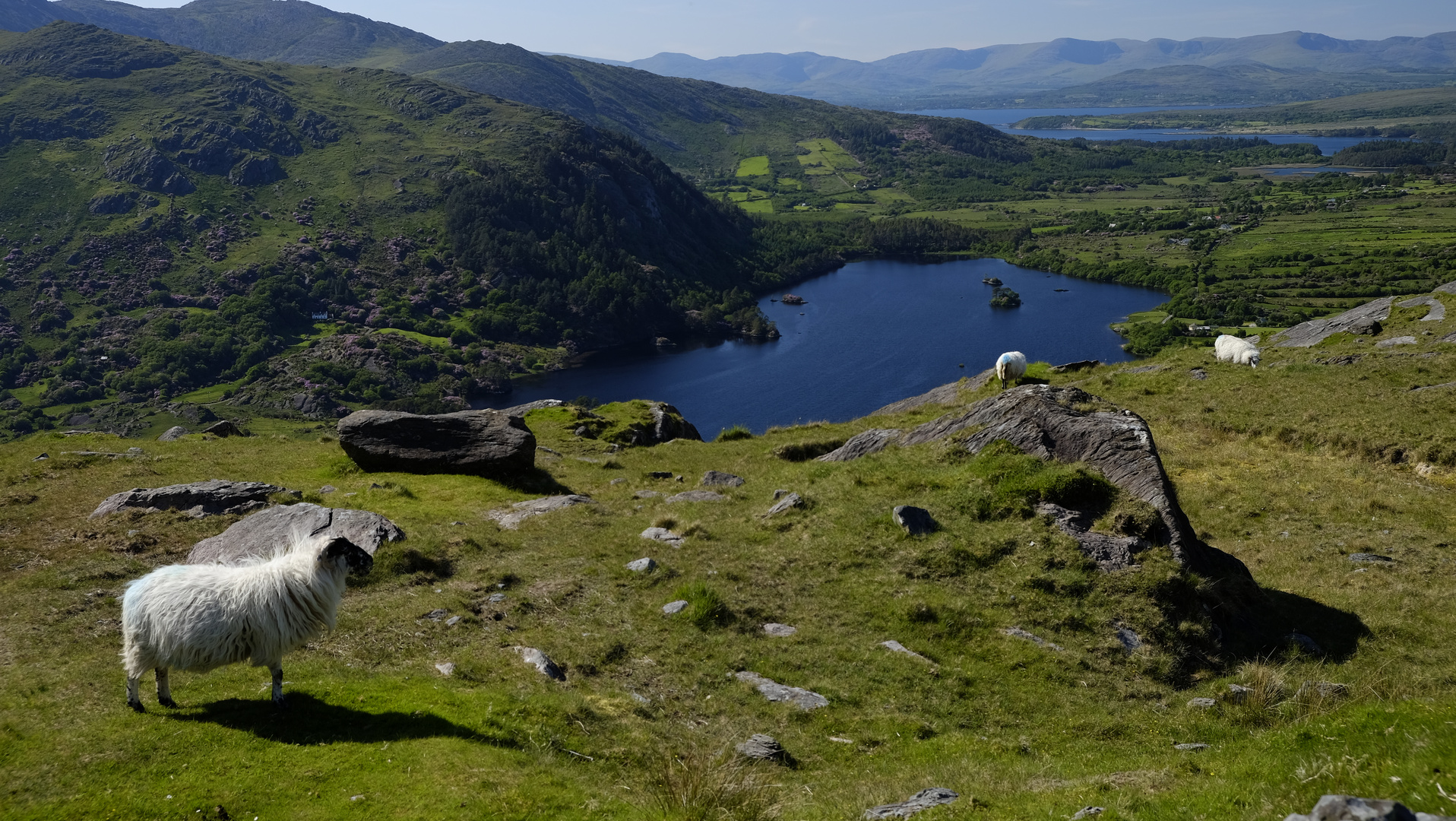 Blick vom Healy Pass auf der Halbinsel Beara