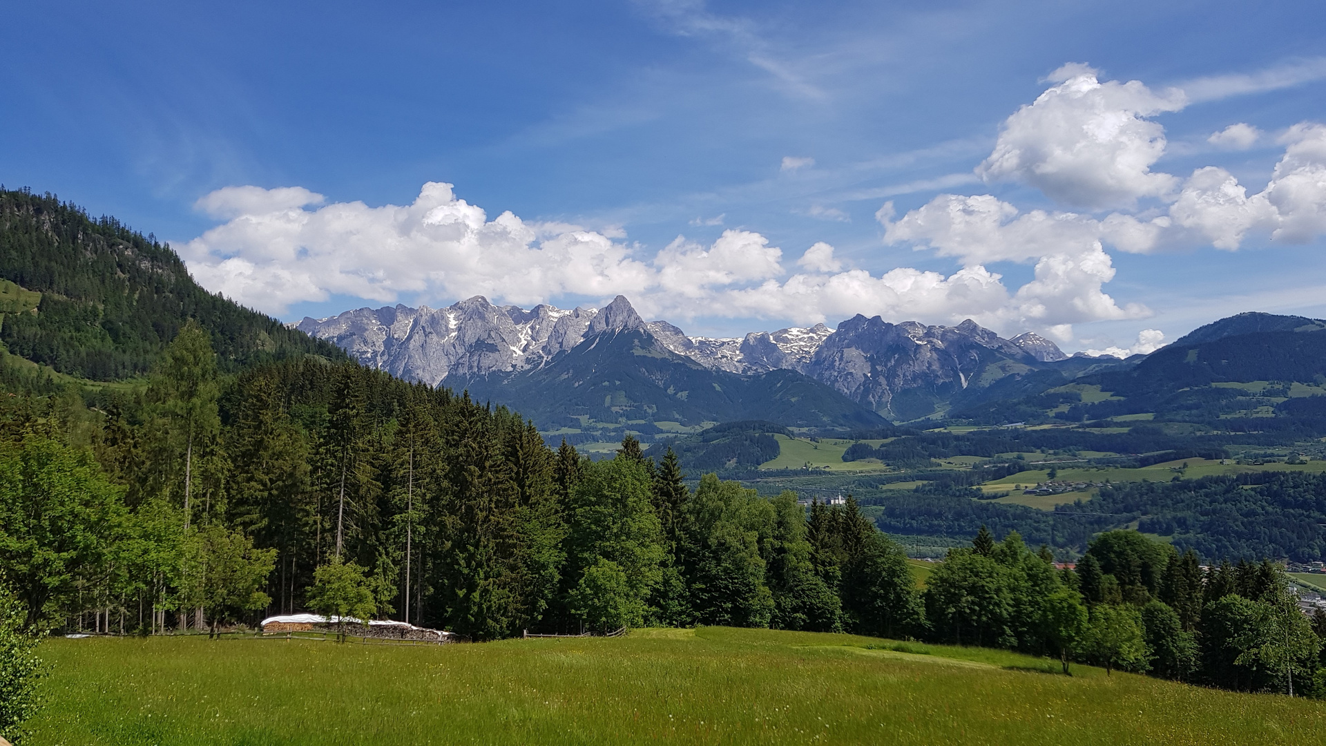 Blick vom Heidberg