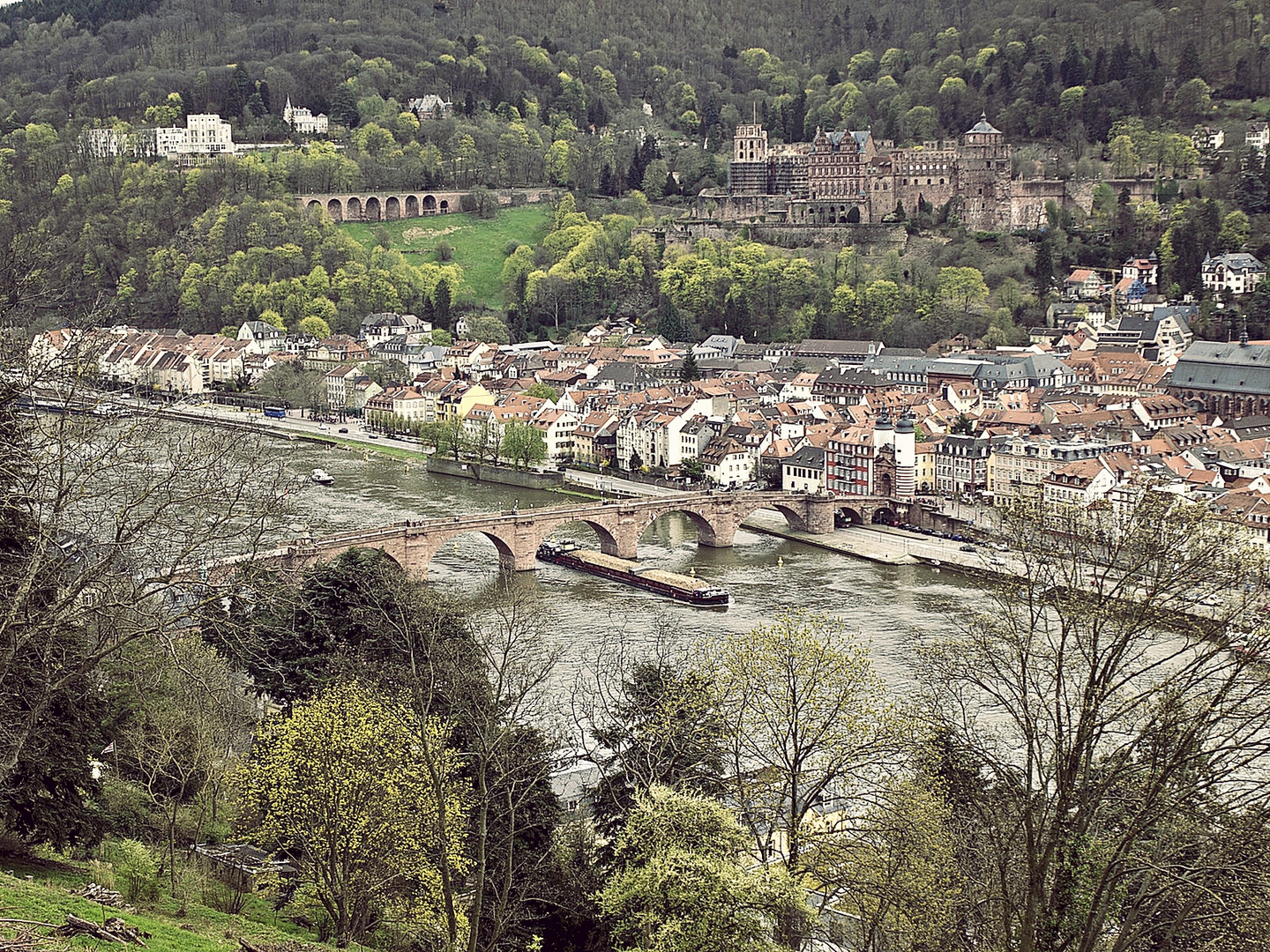 Blick vom Heidelberger Philosophenweg auf das Schloss und die Alte Brücke